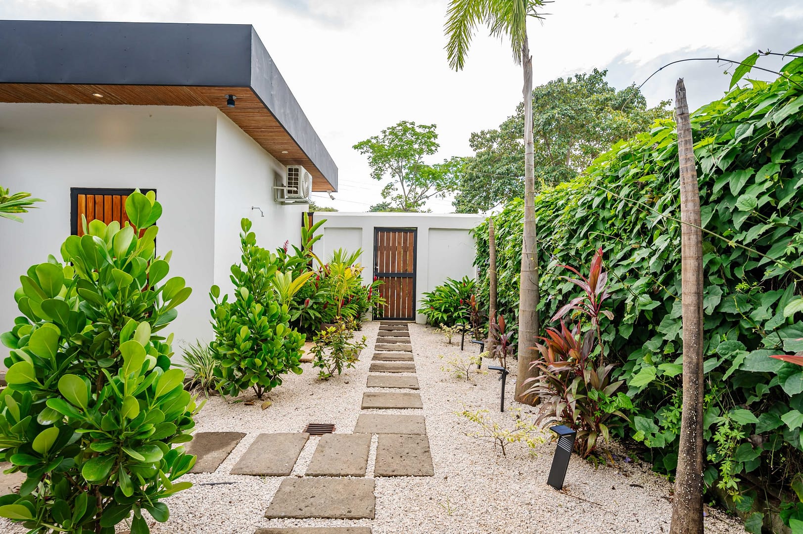 Backyard entry with tropical plants