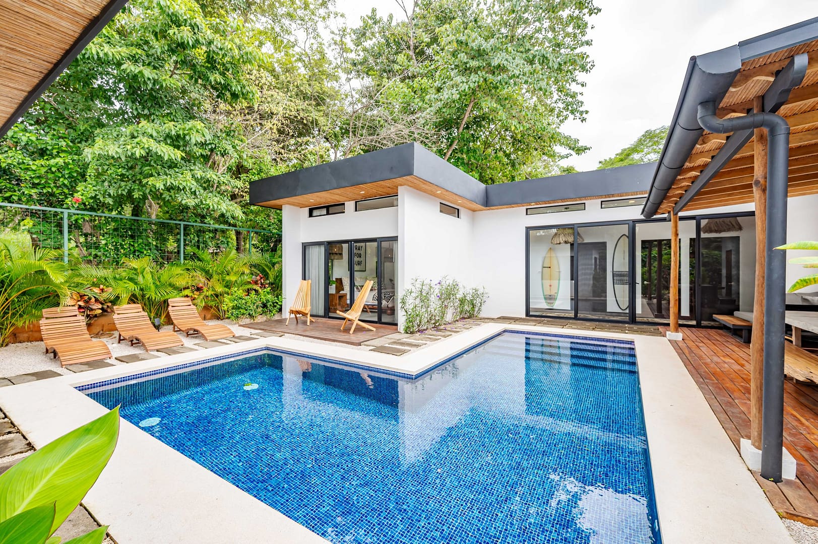 swimming pool and tropical backyard