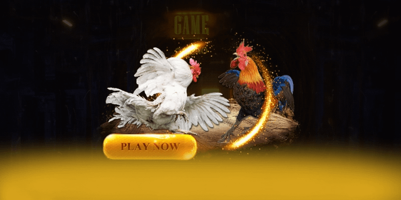 DAGA88 - Cổng game với phần thưởng siêu lớn hiện nay – Khám phá chi tiết DAGA88