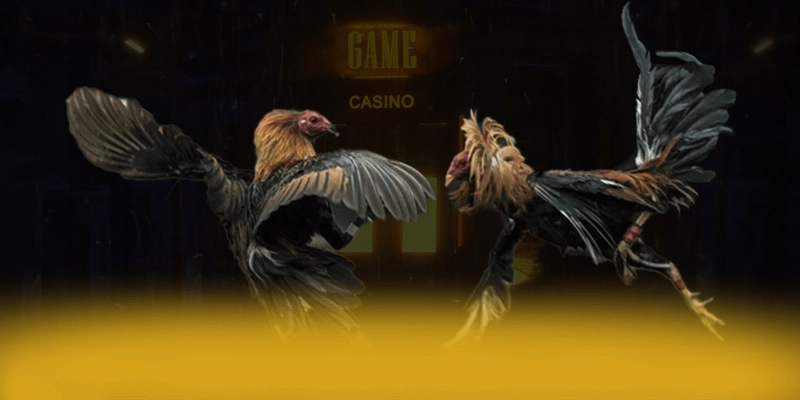N88 – Cổng giải trí uy tín, được cộng đồng game thủ tin tưởng. N88 – Cổng giải trí uy tín, được cộng đồng game thủ tin tưởng.