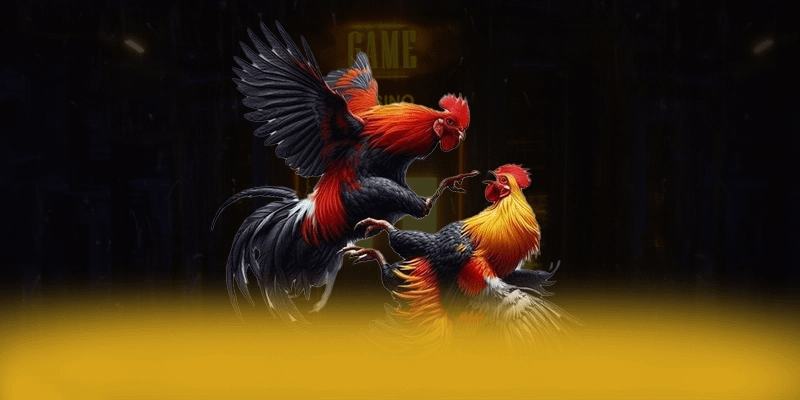 SUNWIN - Ứng dụng giải trí hấp dẫn trên thị trường – Tìm hiểu SUNWIN