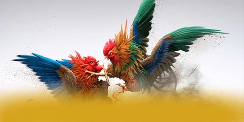CONGA6789 - Cổng giải trí uy tín trong giới game thủ CONGA6789 - Cổng giải trí uy tín trong giới game thủ