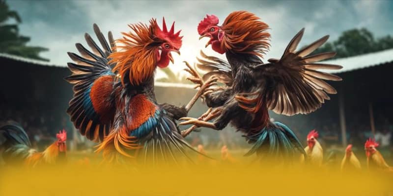 B52 - Nhà cái ưu đãi khủng hiện nay – Cập nhật event và quà tặng tại B52