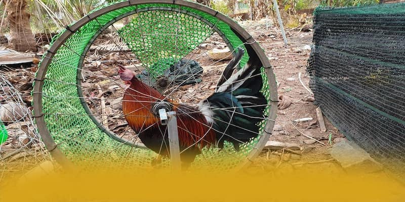 FC88 – Cổng trò chơi được yêu thích nhất, được giới cược thủ đánh giá cao. FC88 – Cổng trò chơi được yêu thích nhất, được giới cược thủ đánh giá cao.