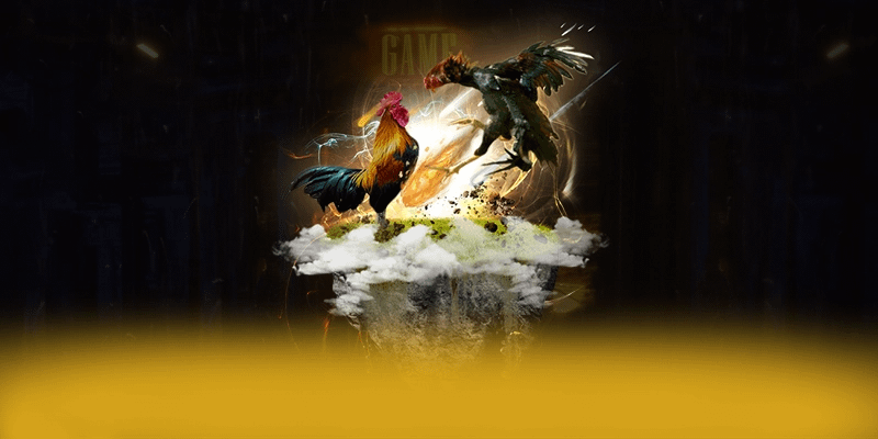 SV88 - Nhà cái sở hữu odds cạnh tranh nhất