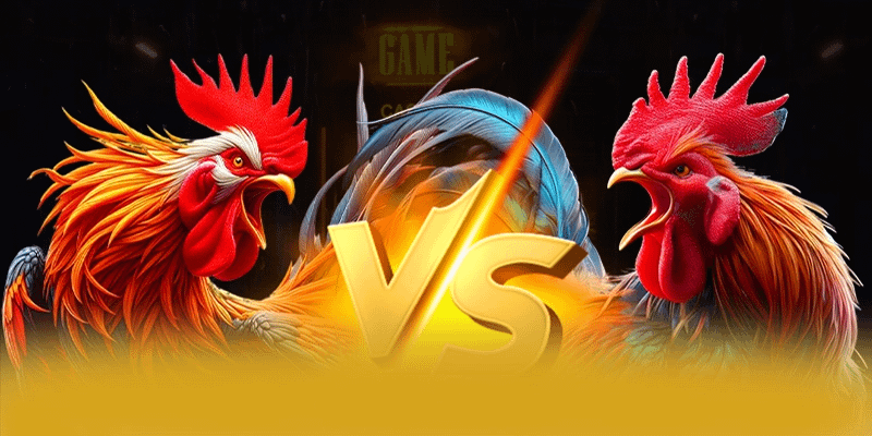 8XBET - Cổng game vận hành mượt mà cả điện thoại lẫn máy tính